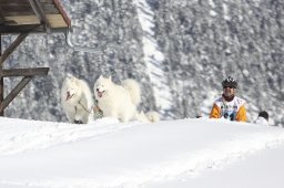 Kandersteg 2013